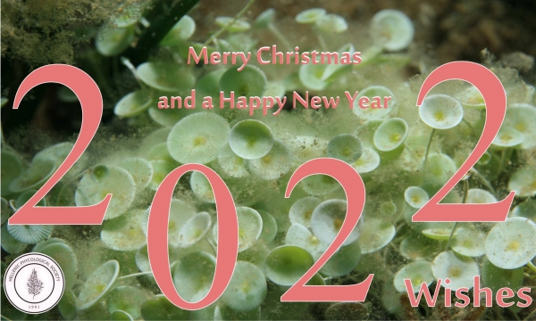 Wishing you a Happy New Year!